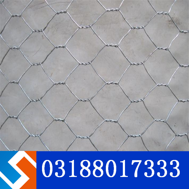 湖北宜昌市夷陵區(qū)三斗坪鎮(zhèn)格賓網(wǎng)岸護(hù)防治工程 湖北宜昌市夷陵區(qū)三斗坪鎮(zhèn)格賓網(wǎng)岸護(hù)防治工程