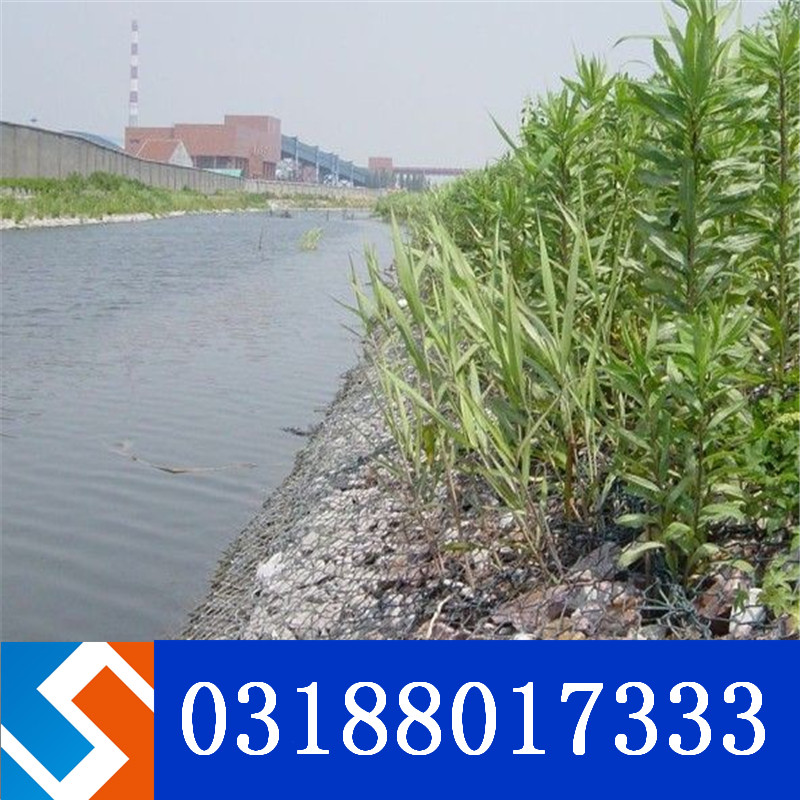 防汛鉛絲籠網(wǎng)片 防汛鉛絲籠網(wǎng)片